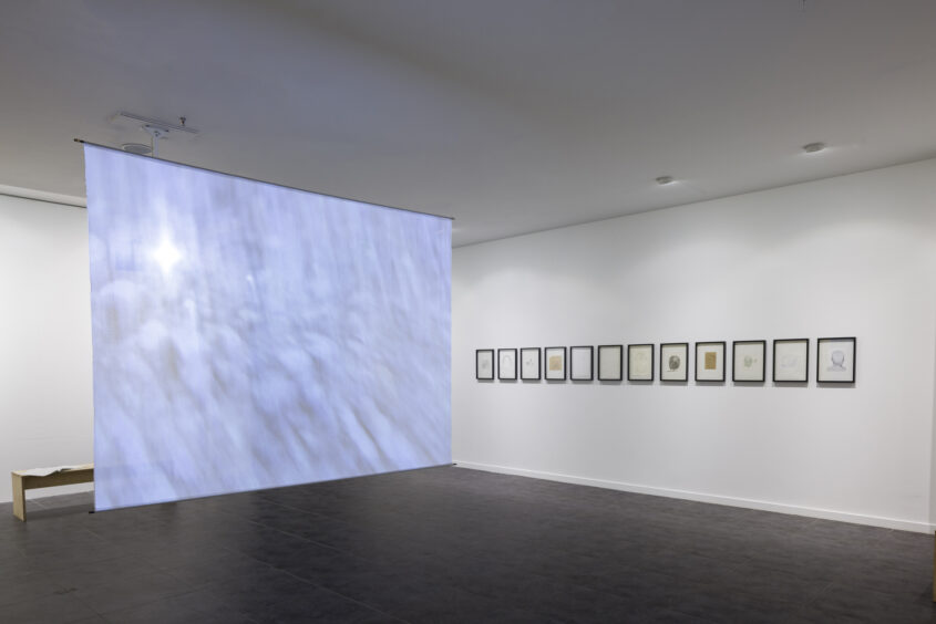 8_KVLU_Deltabeben_Large_30 Christopher Amm Gentner Nagel Kunstverein Ludwigshafen